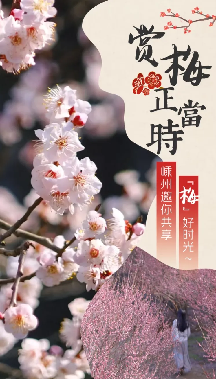 1d96bd56efa576bb951da8a94f6121f9-sz_824394