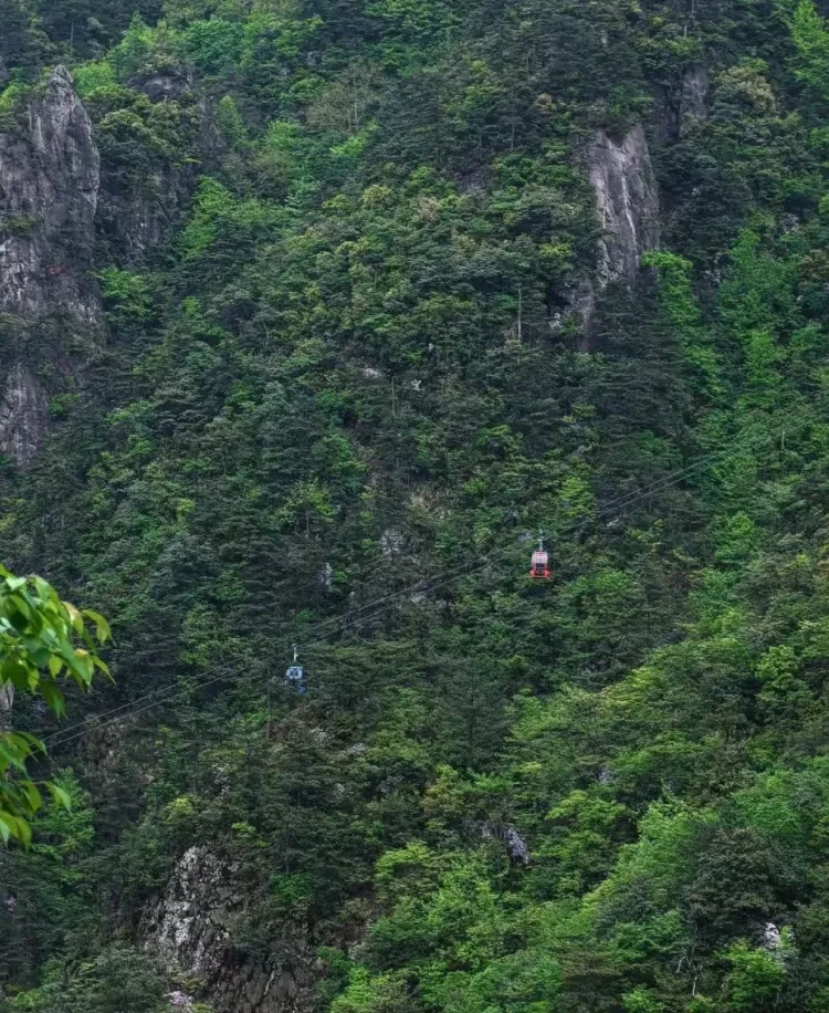 1dd48b43e975b8af58fb3349b71020dd-sz_1705457