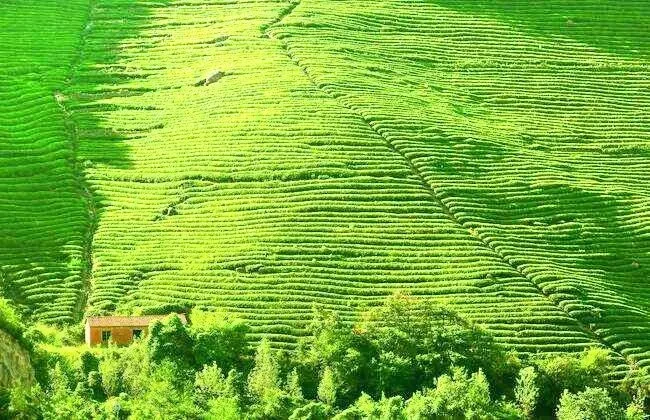 1e2d950b722a23caa8df3234e2f7b193-sz_103600