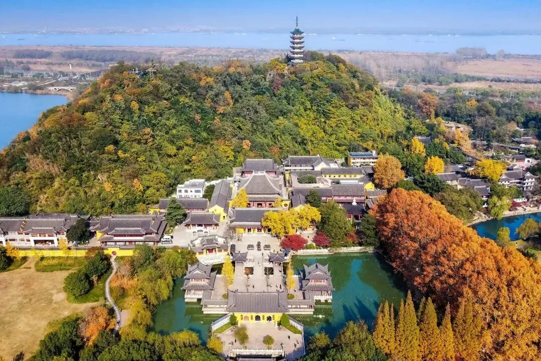 1ec6209091ca46c92465a14ada3d6986-sz_255233