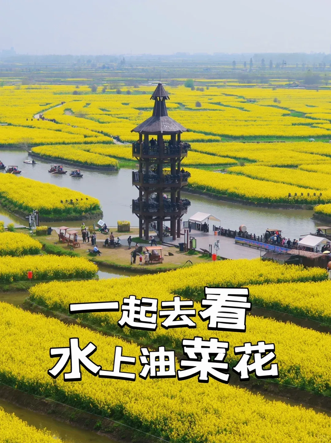 1f2b248e3965dc4f6f3b2f0c765211cb-sz_3109229-2