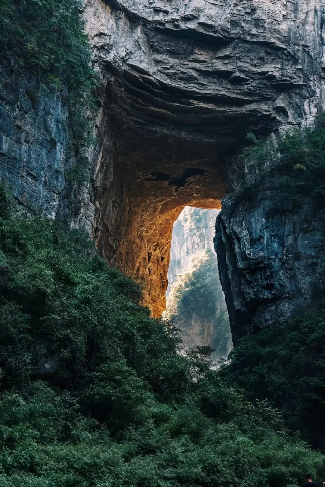 1f5344fbd38d9a9b8d5a2e19dfeb31d2-sz_409519