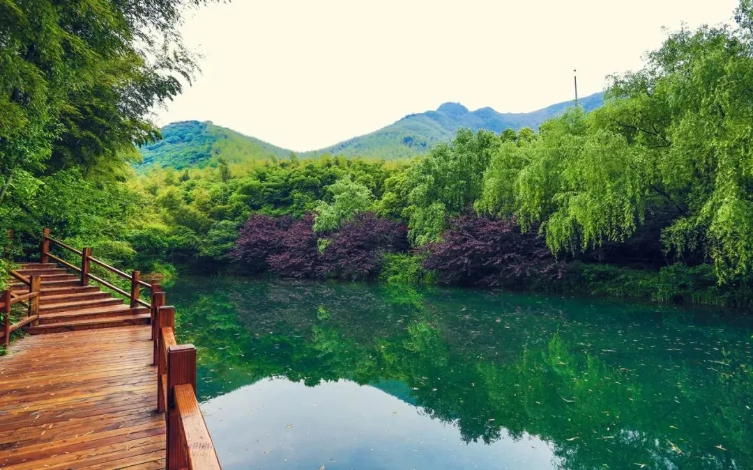 1f5f51445a840ec40102ebb7cd41abff-sz_170770-1