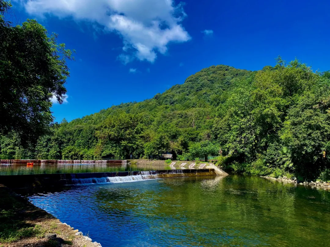 1f6334d354f7f5671721fe413611ea6d-sz_1392610