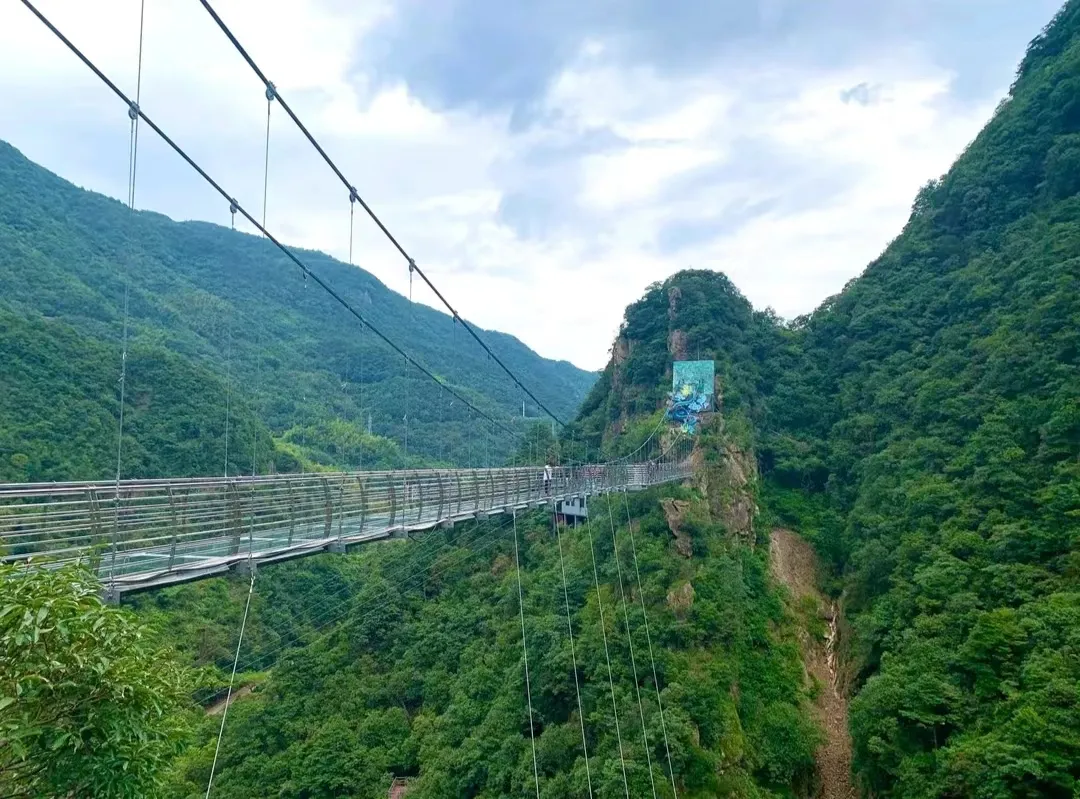 1fb629a0dbb50502c9e01aeda005de35-sz_444640