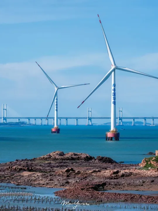 1fd203a6ca28ca92efd1c18c25b2966c-sz_348347