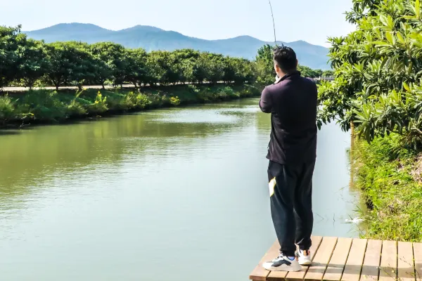 1mc0e12000dlyuncq7904_R_600_400_R5