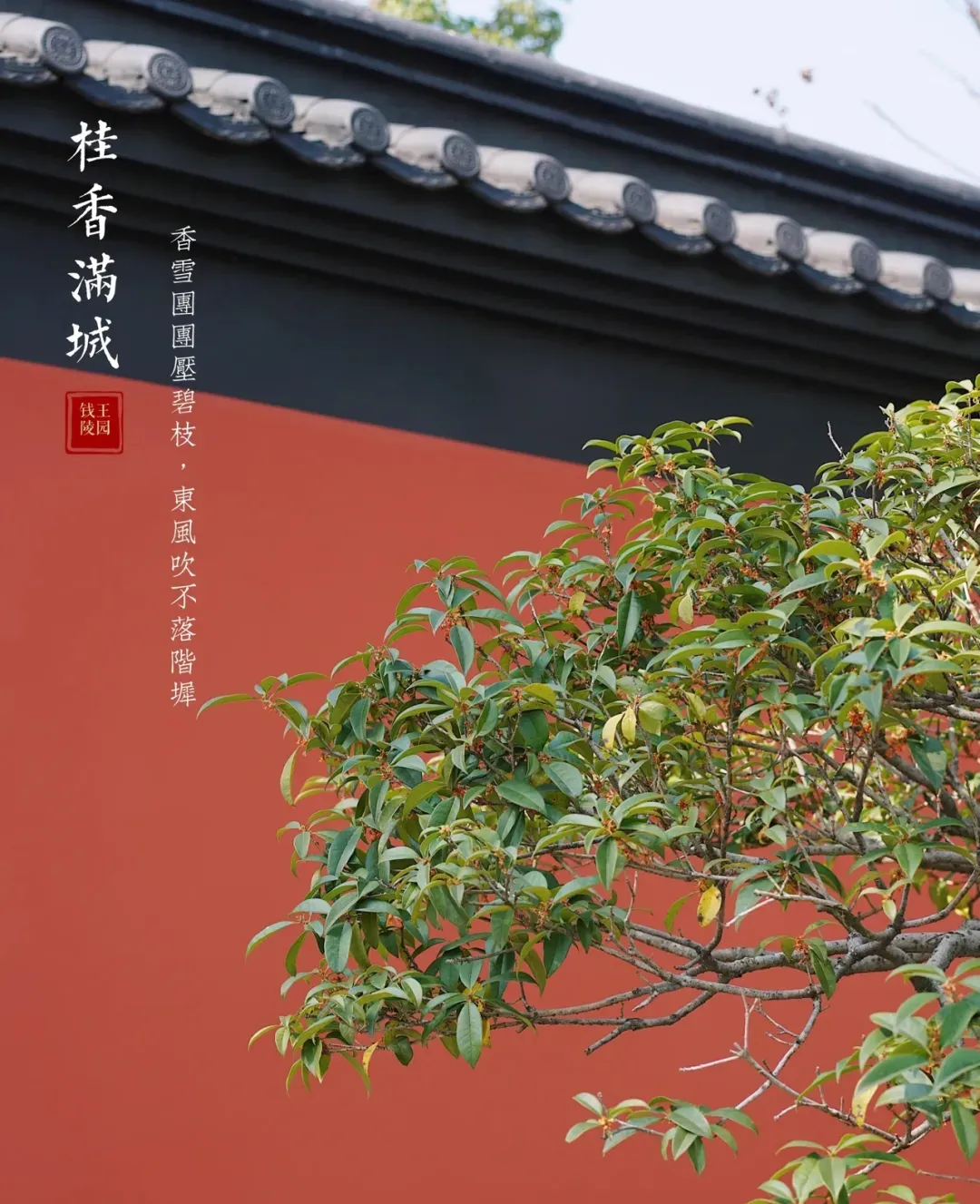 2006adfaea473b403da5bde05a942c7a-sz_1443843