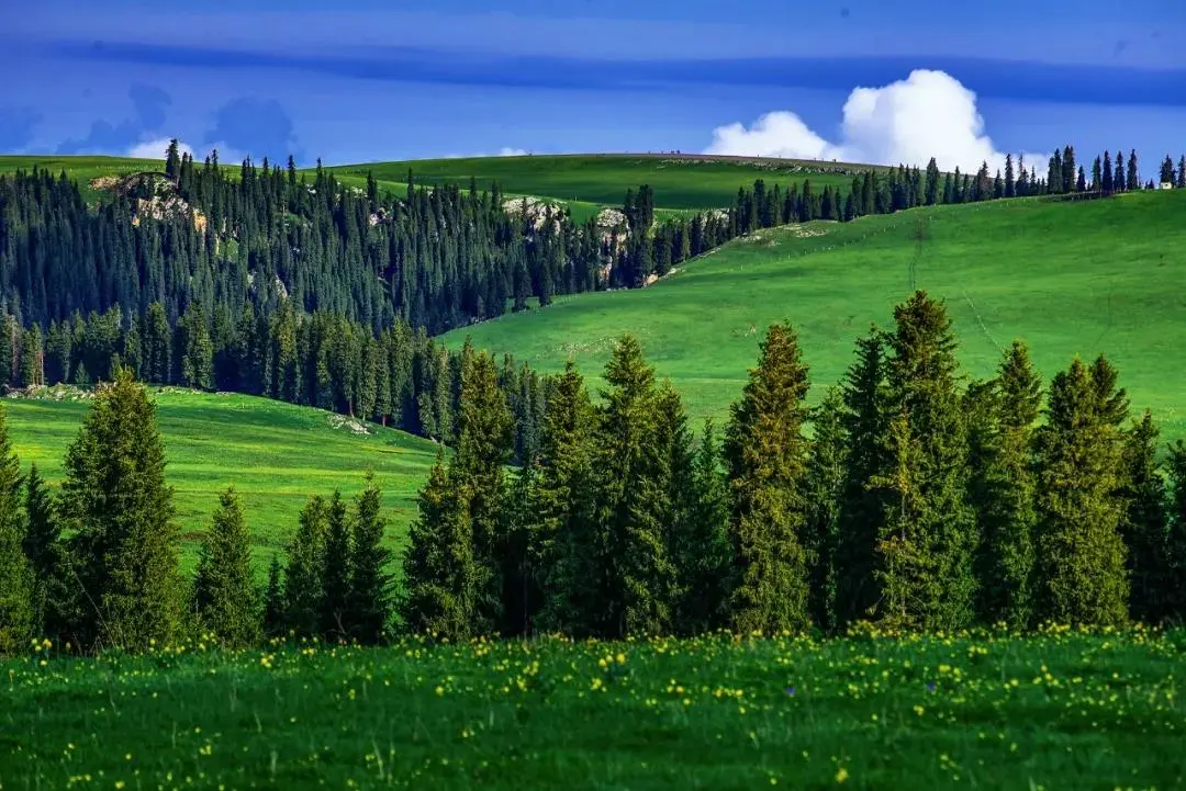 203170a27df21c538fad803864d70c6b-sz_160744