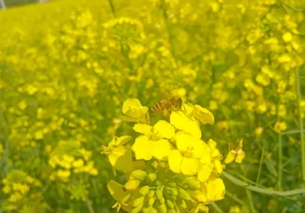 2034c742da0dab9cc3f5c3ba5323933b-sz_200547