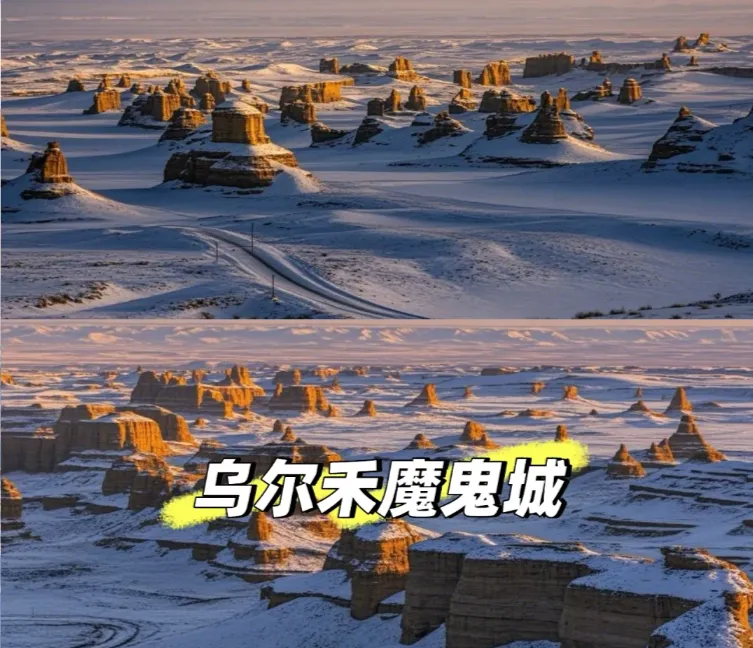 203ea0276e86fd0b748e6a40805bc9bd-sz_1260514