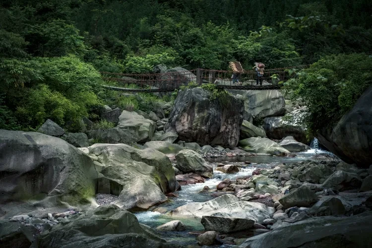 206727d0465ee5862a55370c1507f7ff-sz_3947788