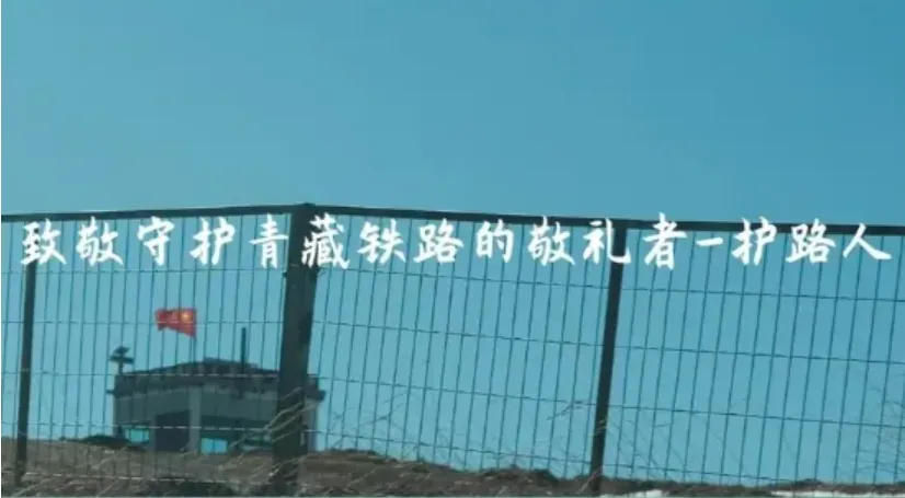 20ab9de95a5b3ad51671dc9660f7ee2e-sz_508256-1