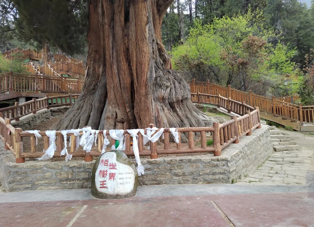 217c9b4c34e702be55c04be800a8c79e-sz_1718997