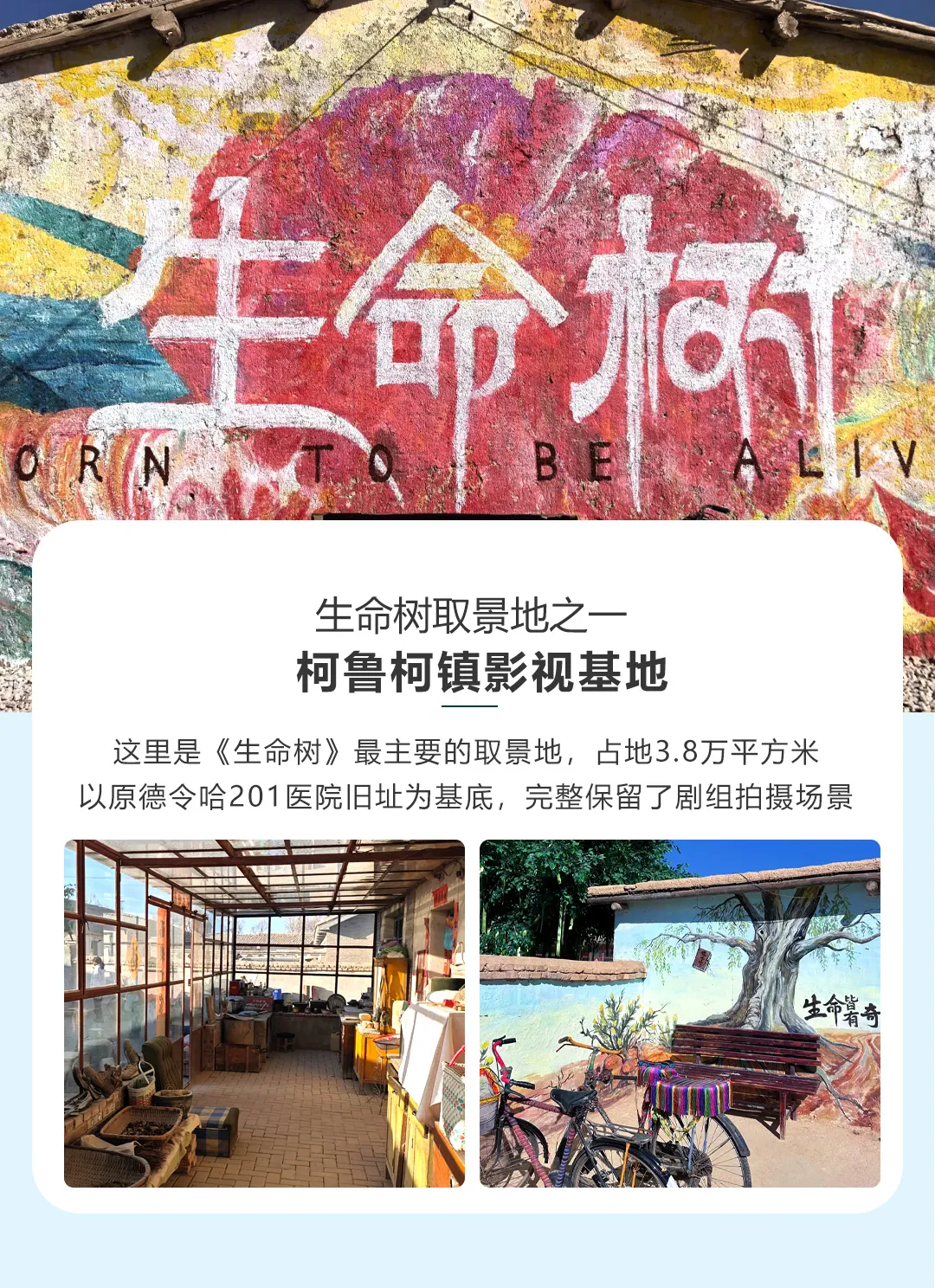 21bc51f62a17126b3aebafffef998a86-sz_822320-2