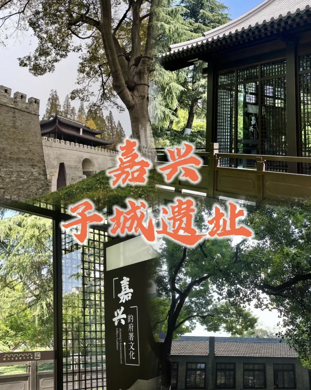 220d013e4bf29998bc0b3ddd6ba27929-sz_1622222