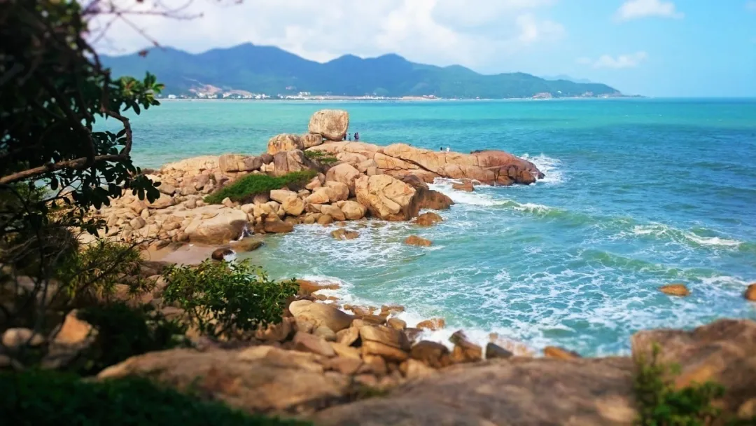 220efdb1ff3225a5a5d17ed57132e84a-sz_234488