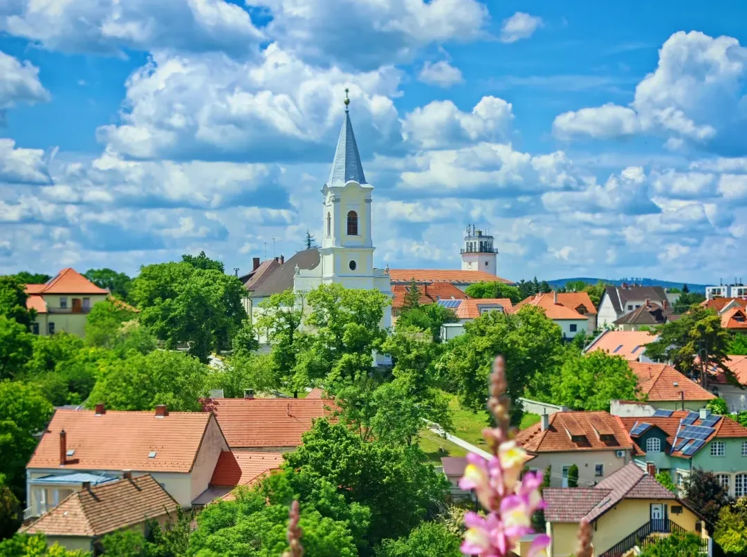 223dd9fcb71e80ca7c60bbba401554f5-sz_2807709