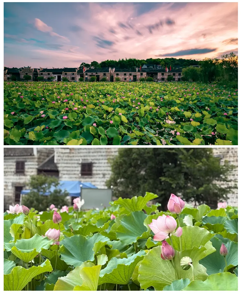 230abb1df0d802cd45af502743059bd6-sz_1899949