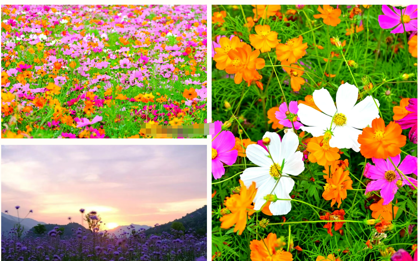 234819469e016165d2b25334768e4688