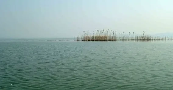 236225656e74b7cfc884eb138cd6a1c7-sz_259617