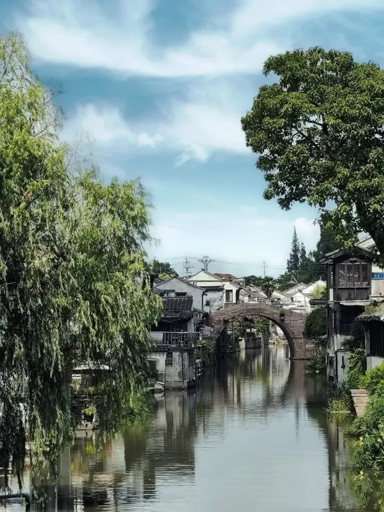 237972c5c4956f603f6f7f0bc2e65f8f-sz_734147