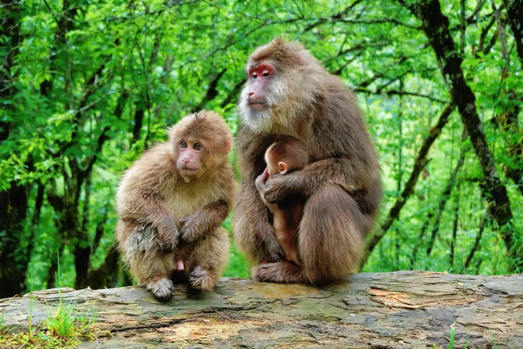 2469f2d0409d04e86b039d0649cce00b-sz_3491247 2469f2d0409d04e86b039d0649cce00b-sz_3491247