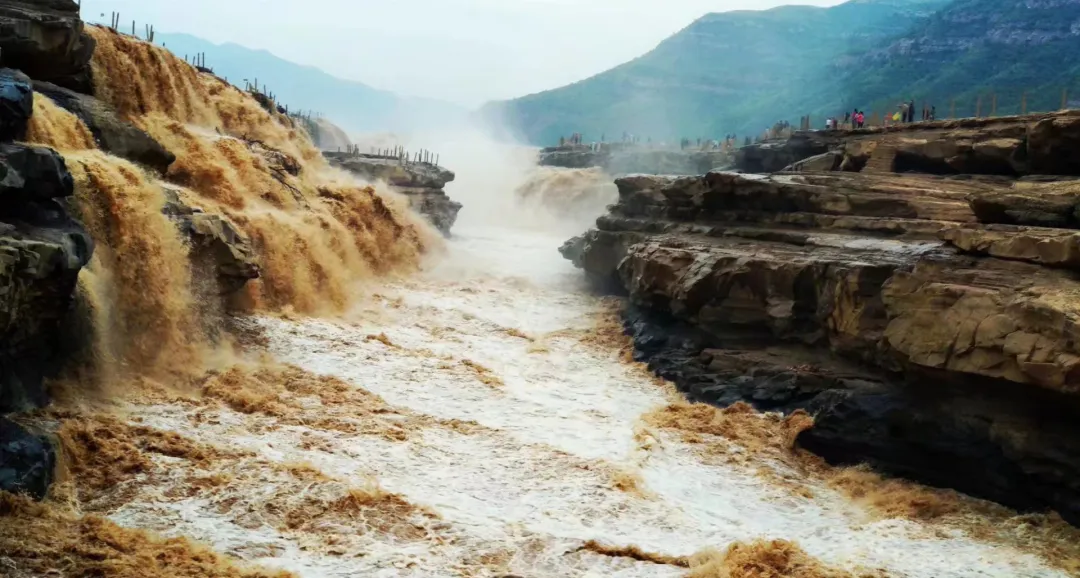 247586621a29dde22d9b22f204c1d90b-sz_869907-1