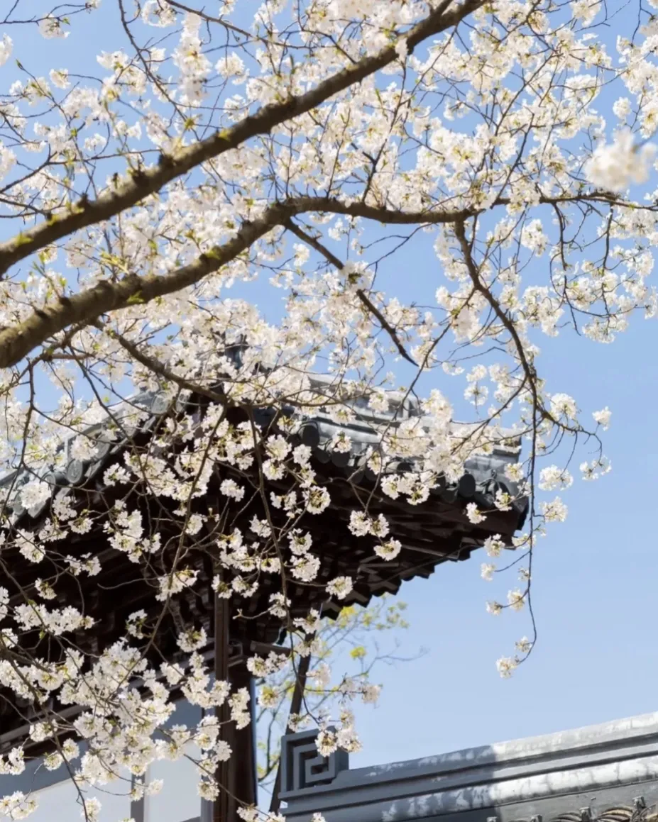 24ab1aa83ae8f59239de8291e57b1883-sz_771469-1