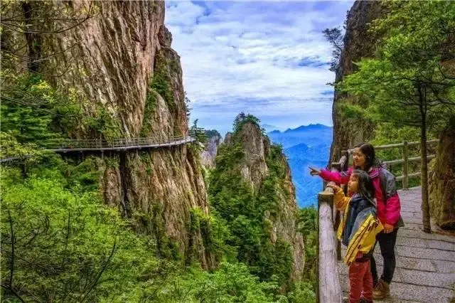 24dce386694abc3cc3729525cc830c91-sz_77021