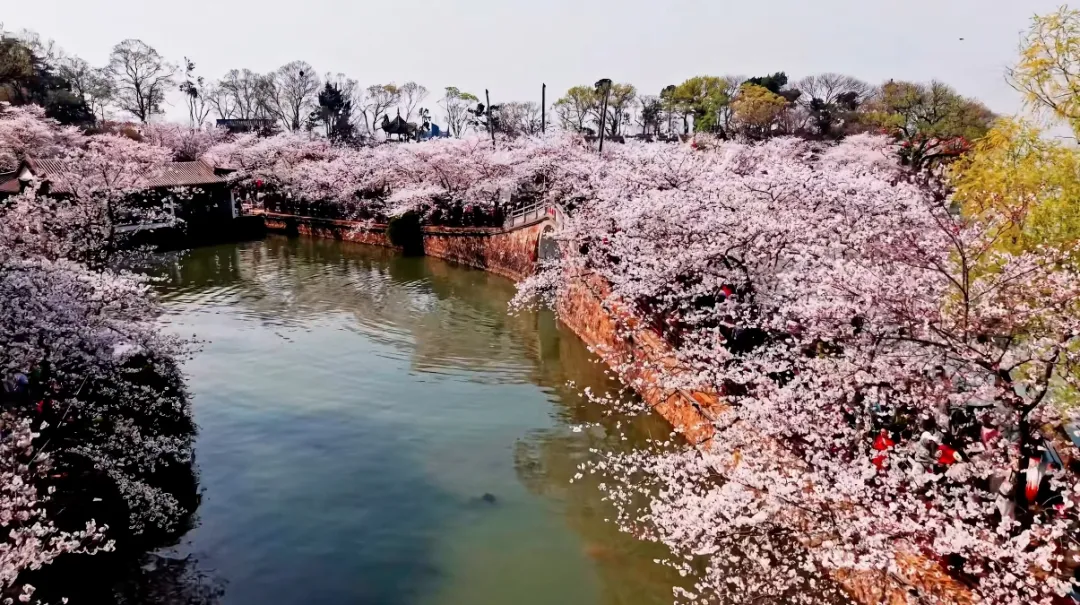 251a41536661b9f705cd016a449d9a1d-sz_717428