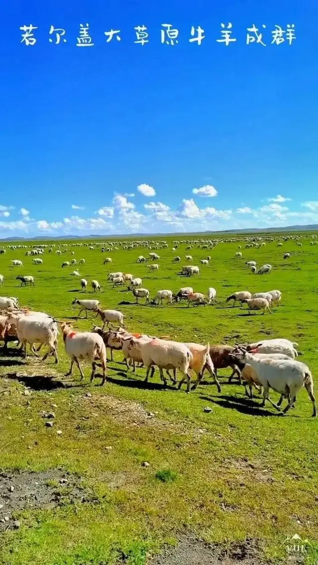 25533f121e266092464c439fe42489b4-sz_135826