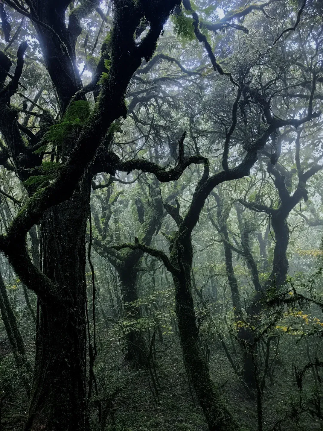 255fd42a9f881c6bb186ff9d587485f2-sz_3072377 255fd42a9f881c6bb186ff9d587485f2-sz_3072377