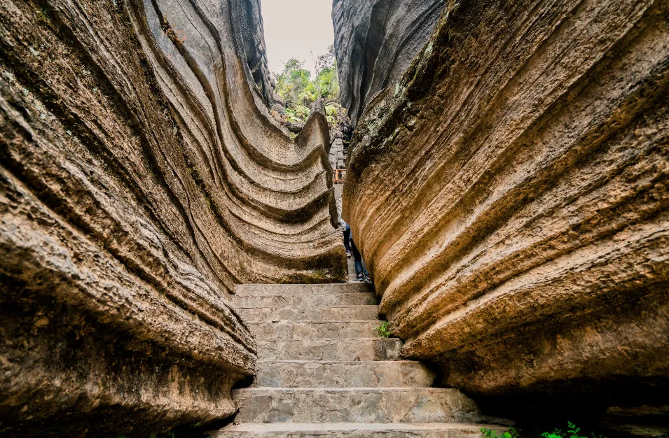 26003438af2add756f33a1d0c4b7ecbf-sz_1580031