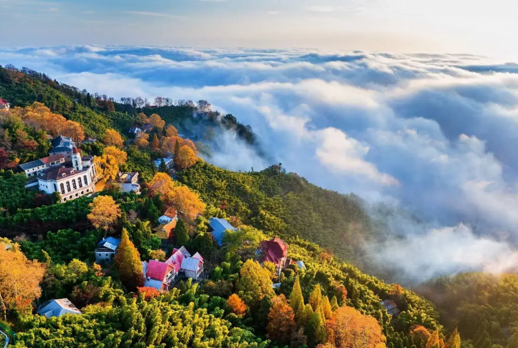 2603814180c02ef9d1f2213e191b62ee