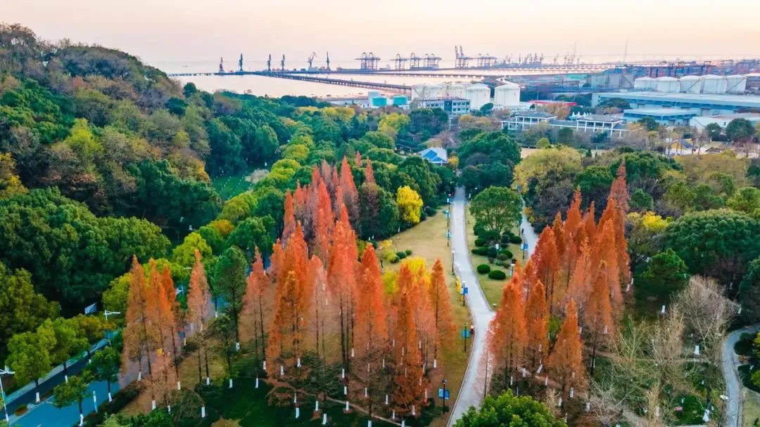 2672fba008e064dfabec064309b85a0a-sz_156592