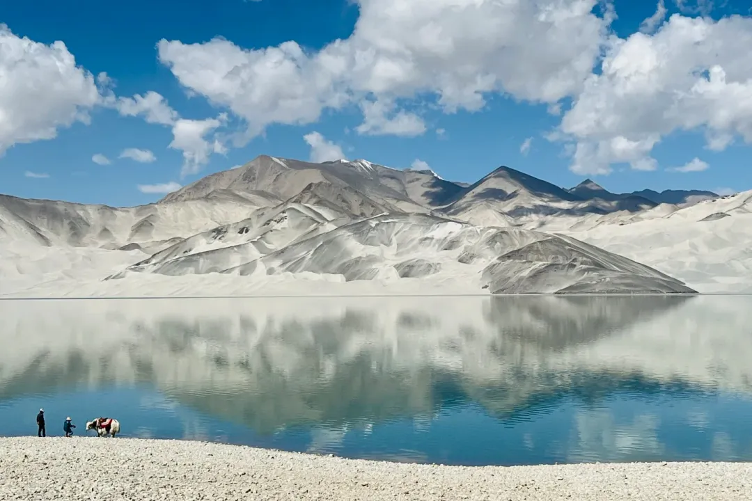 26ffa86f1b66093caad758c7f9f00bf5-sz_2184529