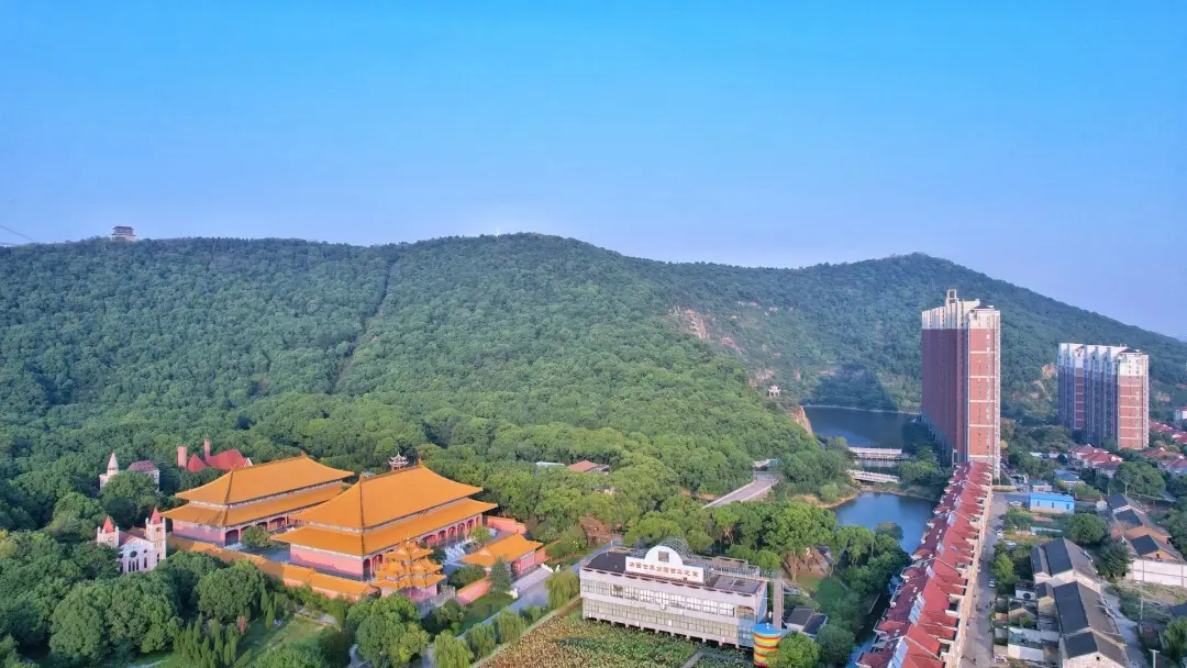 27100e0faa0874a804520f1c310e3475-sz_363431