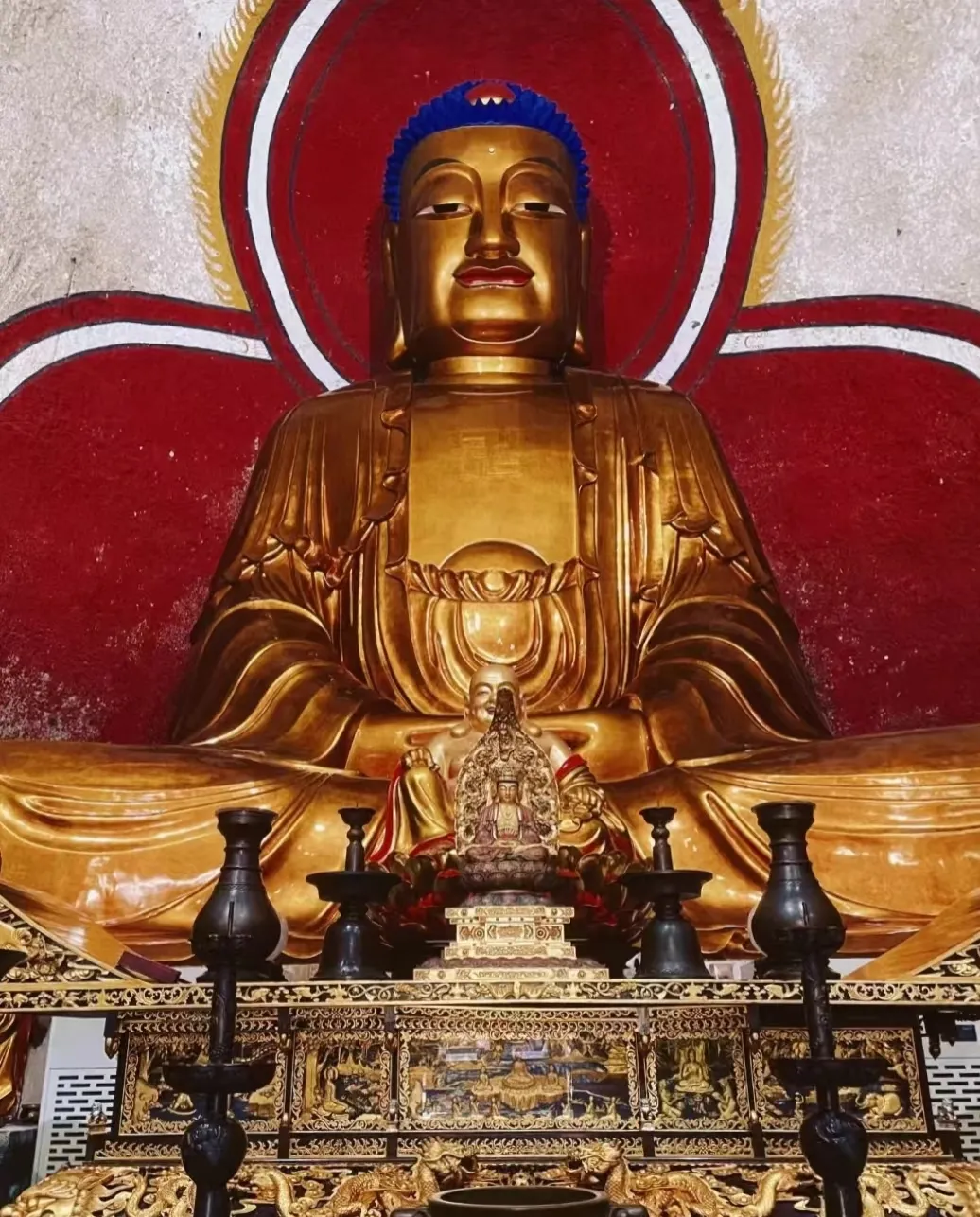 27b0d9c7ec04a4c98bf05dc8d8ff5276-sz_959030