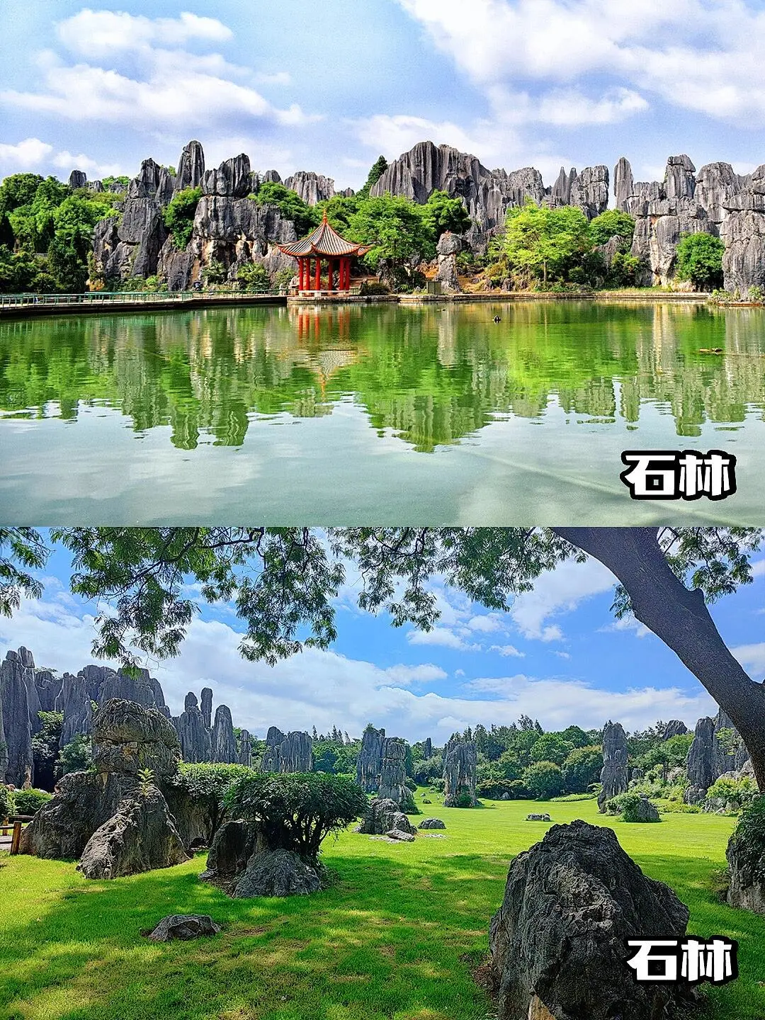 27ef8ba327e65c4d33b508d8100a18ce-sz_483713