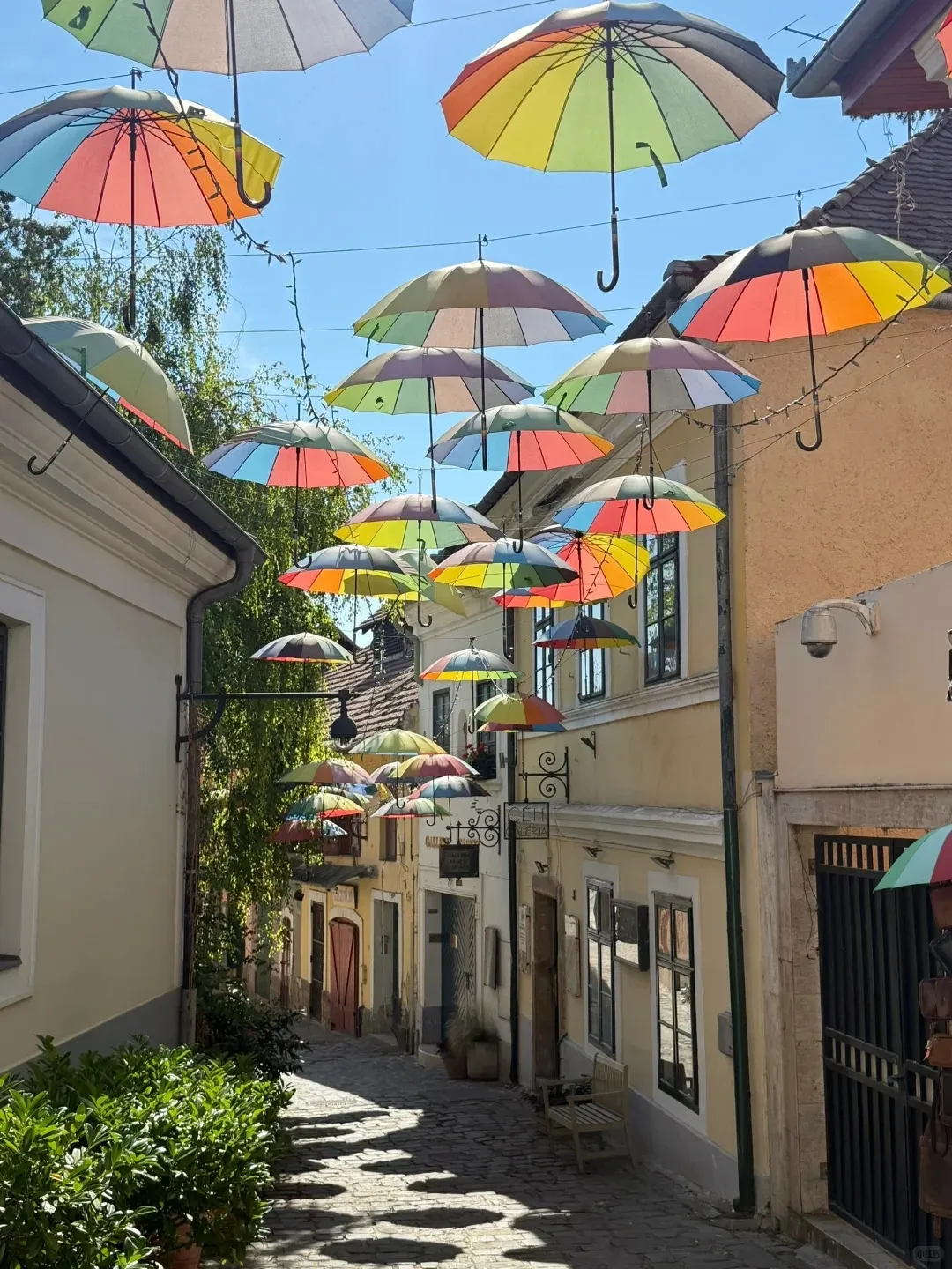 281783b4dd36994fa8faaccc55cf97f7-sz_469996