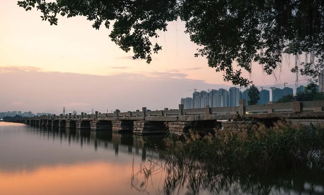 281ad1194a446bb78b2860c552e1e6c6-sz_181217