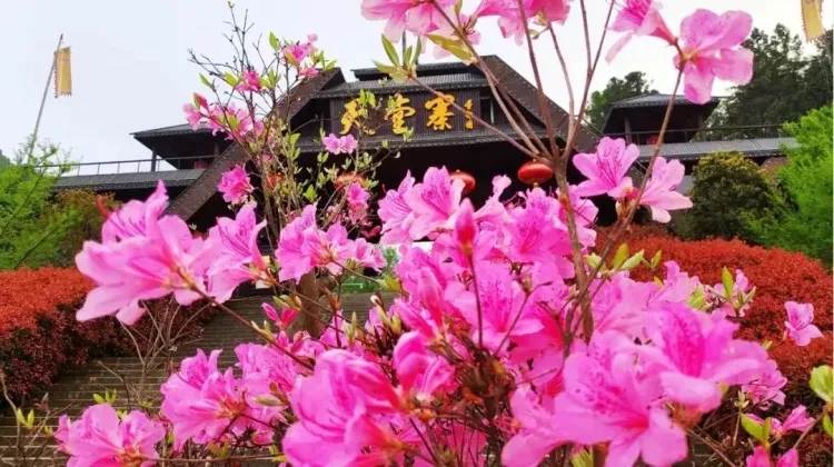 2823344b31f8b0b06d073902db57a469-sz_164896