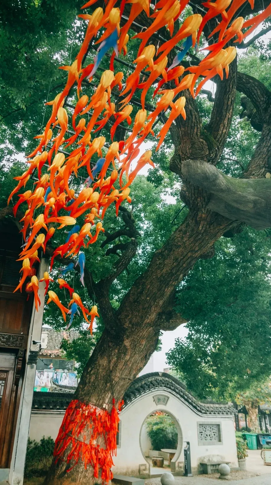 28860ad73032029aa03a41c90d67524e-sz_709066