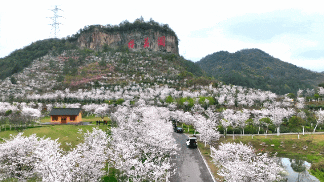 288d6f1bb53afad652e8fb3e2d5e4a4b-sz_3715902