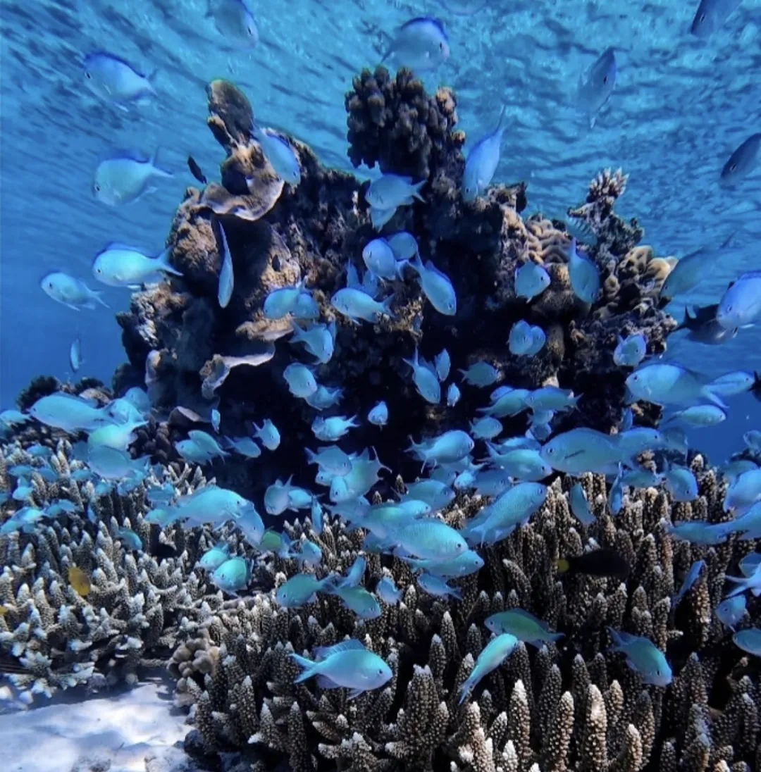 28ab75229a07f3b875e3bfa30b12724b-sz_1965669