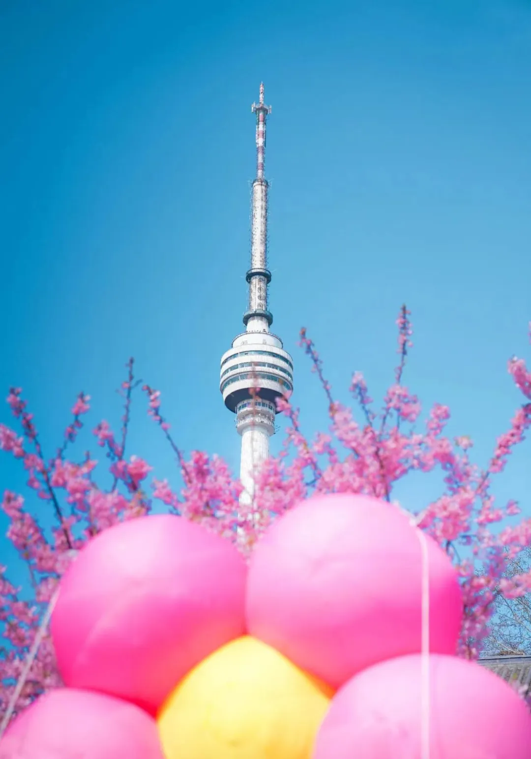 28c4d75e4d80feab7e27b7dc82d321f6-sz_145679