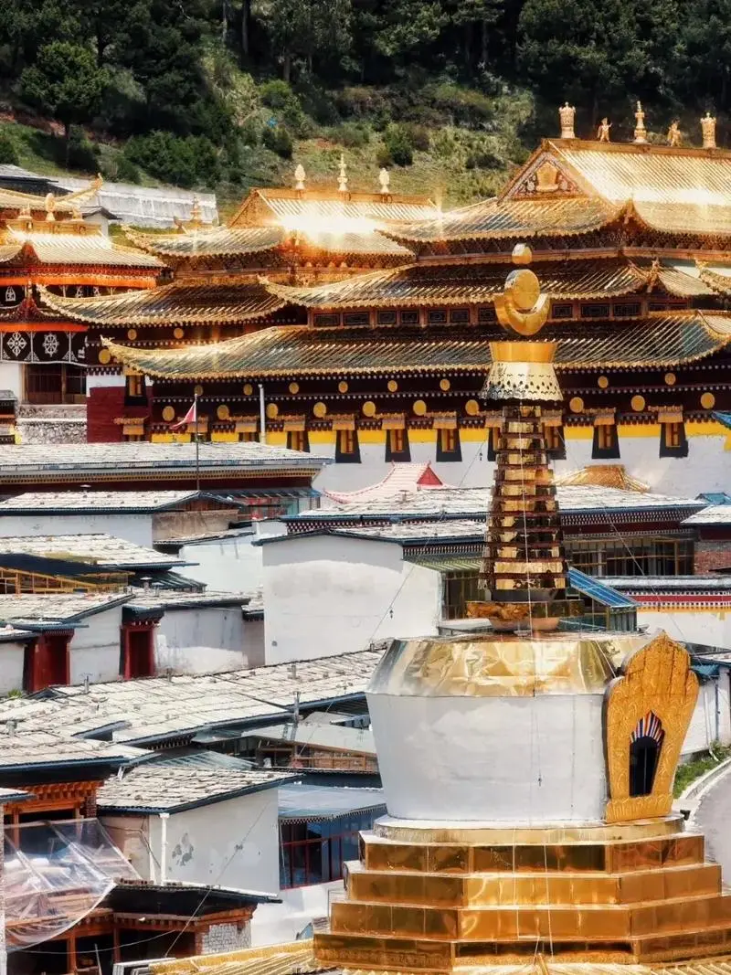 297f257a6160649c445b1f9810fbb4cb-sz_193972