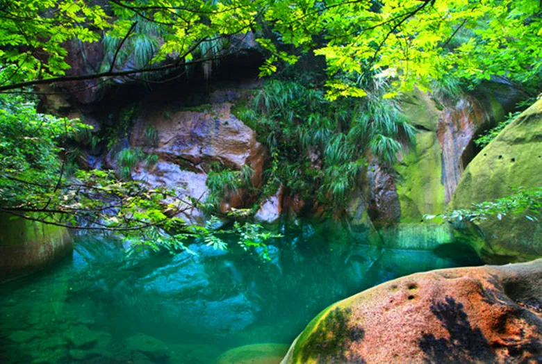 29d86cc02fa5c7d9633f84a70645b735-sz_219837