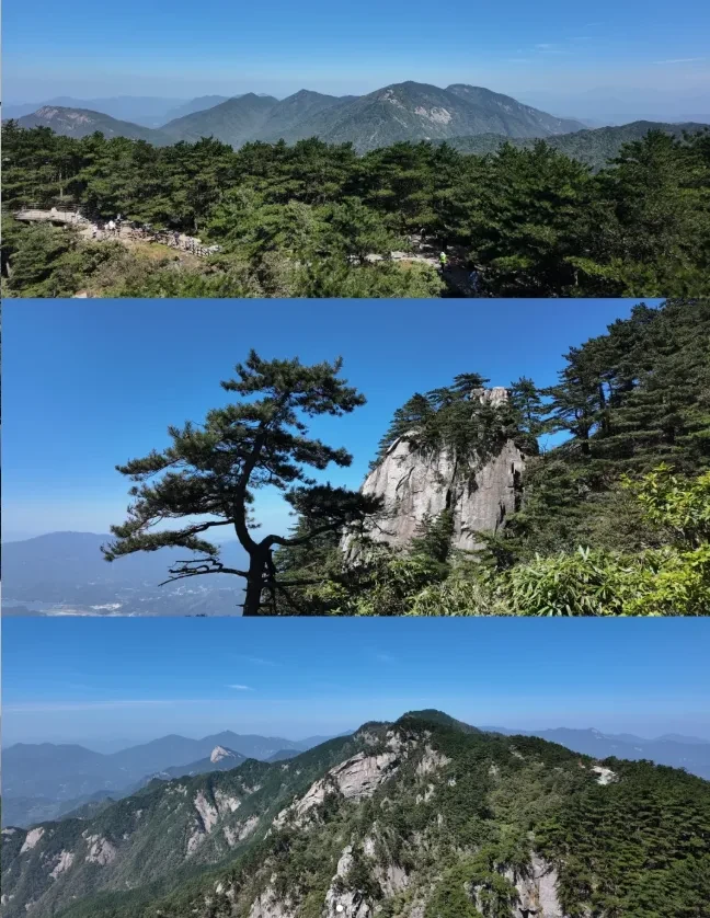 29ef0f1ab6be8b38cfb6364edff7a9c0-sz_1036834